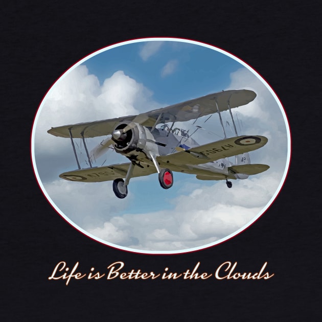 Vintage Biplane - Cool retro plane "Life is Better in the Clouds" by jdunster